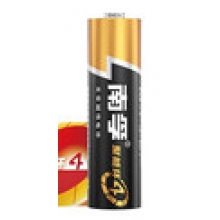 南孚电池5#